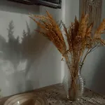Homestay szállás Boho Przystan Łazy