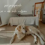 Boho Przystan Łazy