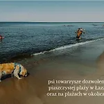 Homestay szállás Boho Przystan Łazy