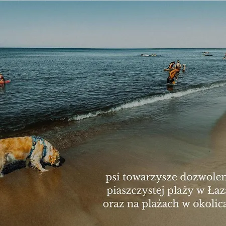 Séjour chez l'habitant Boho Przystan Łazy