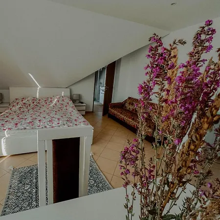 Boho Przystan Homestay Lazy (West Pomeranian)