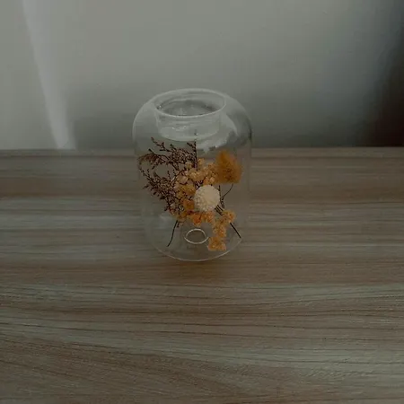 Boho Przystan Séjour chez l'habitant *