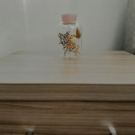 Séjour chez l'habitant Boho Przystan