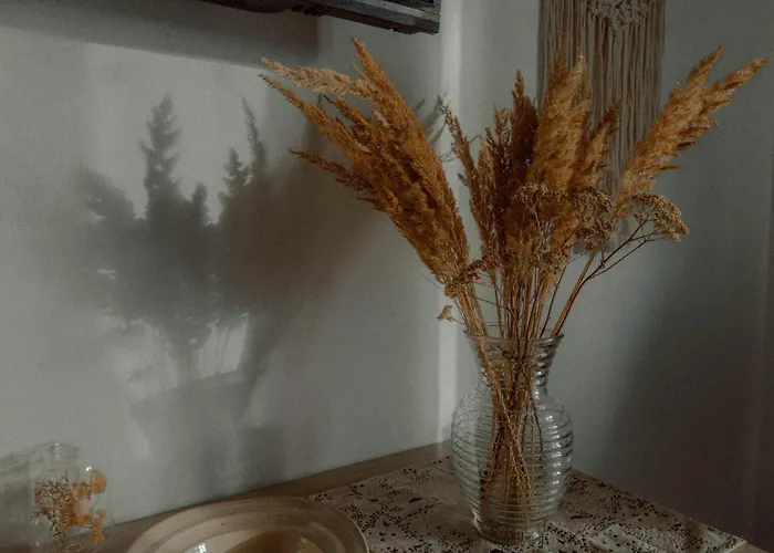 Pansiyon Boho Przystan Łazy