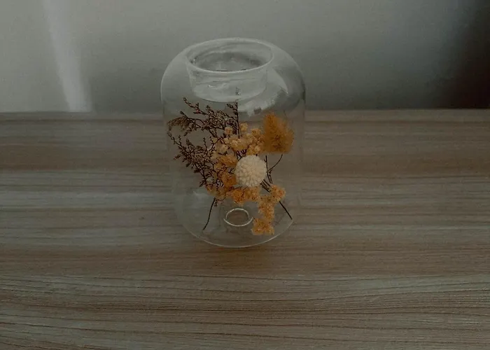 Boho Przystan Pansiyon *