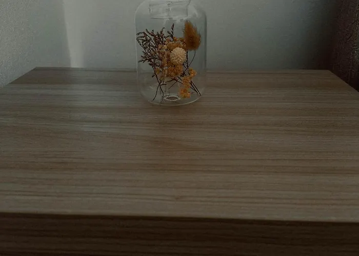 Boho Przystan Pansiyon Łazy